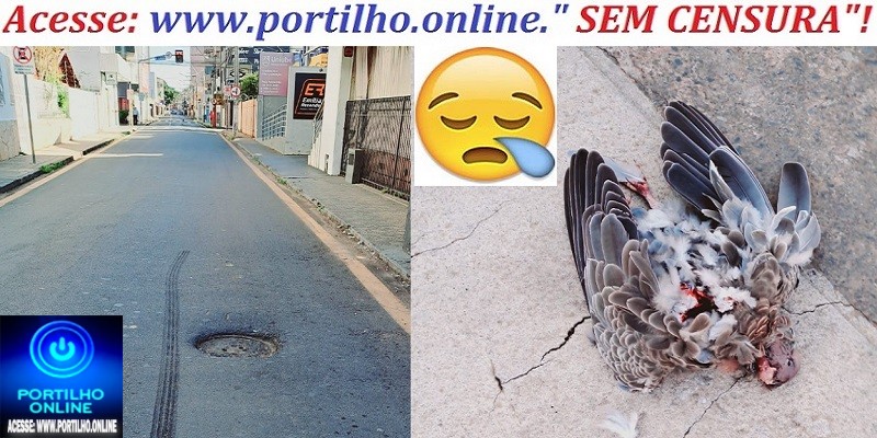 👉👀📢🤔🚦🛑🚧🚀🕳🕳🕳PROBLEMA COM OS PVs (POPULARMENTE CONHECIDOS COMO BUEIROS ARMADILHA)