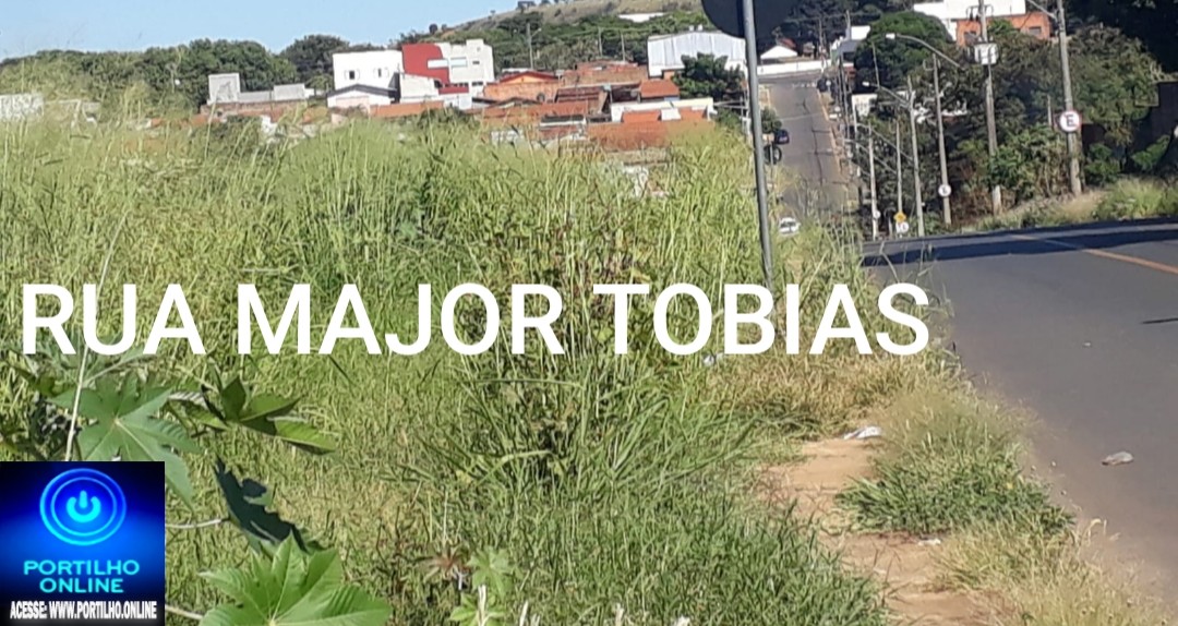 📢 RUA MAJOR TOBIAS…👊😱🤬🤢💩🤮🚧🚨❔❓Bom dia. “Portilho moro na rua Major Tobias , não estou suportando tantos ratos 🐭🐁🐀”