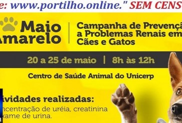 🐾🐾MAIO AMARELO. Campanha🐾de prevenção problemas renais em cães e gatos 🐱