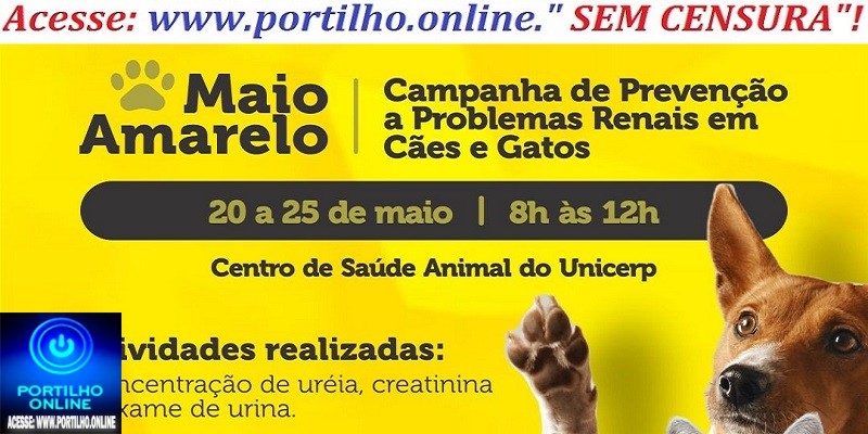 🐾🐾MAIO AMARELO. Campanha🐾de prevenção problemas renais em cães e gatos 🐱