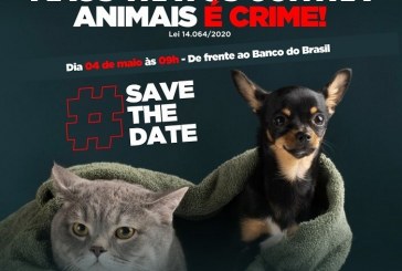 👉📢👏🤝👍🐼🐱🐹🐒🐴🐺🐄🐩🐕🐇Medicina Veterinária do Unicerp informa…Maus tratos contra animais é crime