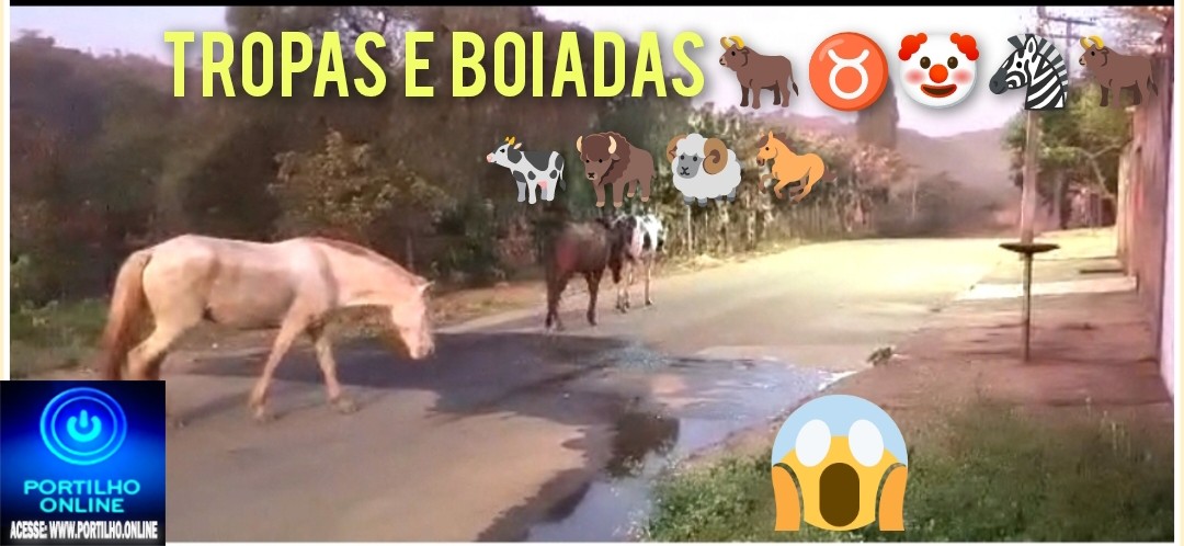 📢👉🕵✍⁉🙄❓🚒✍🚓🚔🚧🦓🐴🐎🐎🐎TROPAS E BOIADAS!!! As eleições municipais estão chegando… Tudo ” normal”