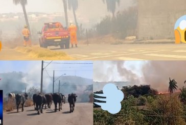 🚓Assista aos vários vídeos…🚒🔥💥😱❓🤔🔥🔥Olha aí o  tamanhinho  da viatura dos bombeiros pra assistir o fogaréu?🆘😔👀