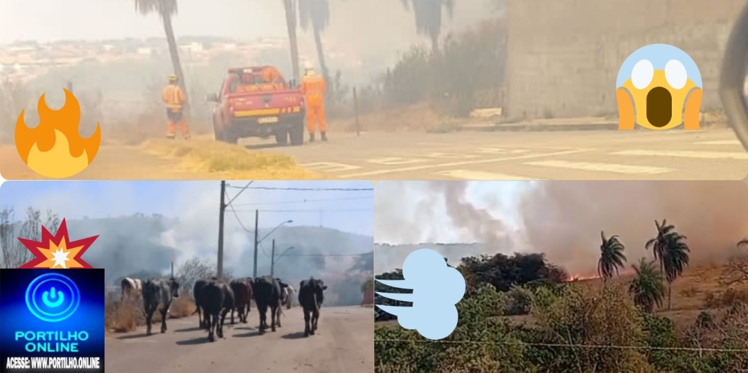 🚓Assista aos vários vídeos…🚒🔥💥😱❓🤔🔥🔥Olha aí o  tamanhinho  da viatura dos bombeiros pra assistir o fogaréu?🆘😔👀