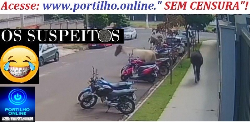 📢👁🕵🔍🙄😱🐴🐎🐴🐎🚨🚦Cuidado! Suas Motos Podem Ser Furtadas por Esses “Dois Meliantes Quadrúpedes”!