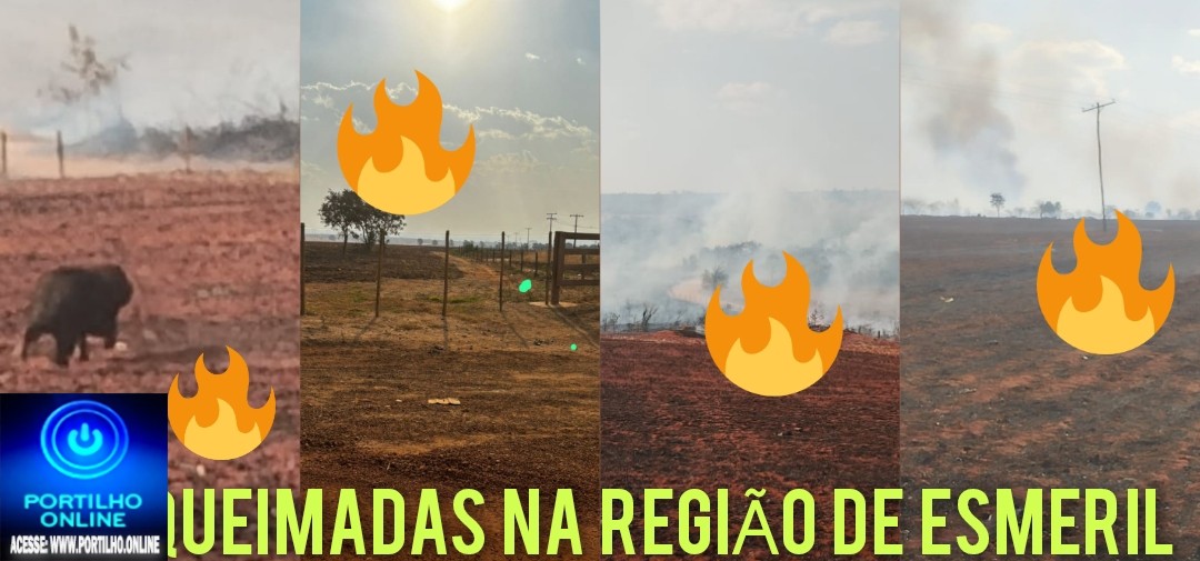 👉🚨🚒🚑💨🌪💥🔥😮😱📢🚒💨🌪🔥Incêndio 🧯 descontrolado destrói tudo na região de esmeril. Até uma capivara saiu vazado