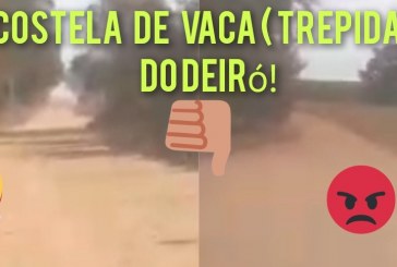 👉As costela de vaca ( trepidação) do prefeito Deiró Marra!📢🚧👎🤬🤠🤔😱🚨Boa tarde Portilho: Queria que vc ajudasse a divulgar sobre a estrada da ponte alta a ponte do Ribeirão do jose Pedro sentido Santa rosa.