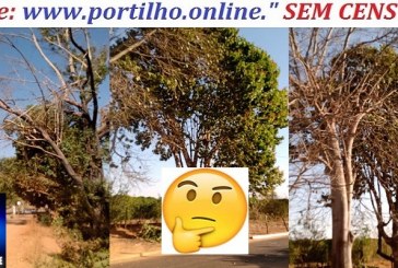 📢👉😡👎👀🌳🌳🌳🌳🌳Os moradores da comunidade de Macaúbas de Cima pedem providências