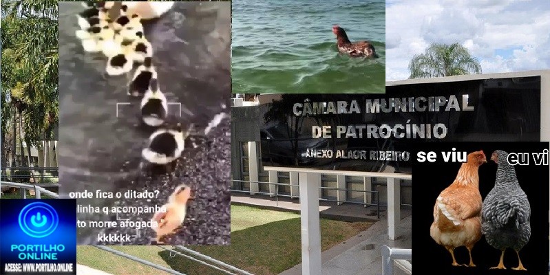 👉📢👎🤐🤫✍🤡👺👿😱Atenção, eleitores patrocinenses: 👉🐔🐓galinha que acompanha pato🦆🦆🦆 morre afogada!