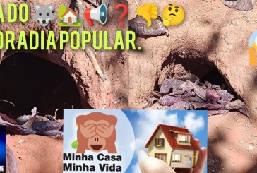 📢💷👿👺⚖💶😱🤡🤡🤡Toca do 🐺🐺🐺🏡🏠🏠📢❓👎🤔Moradia popular. Só nas tocas dos cães na praça da santa casa