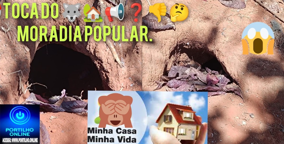 📢💷👿👺⚖💶😱🤡🤡🤡Toca do 🐺🐺🐺🏡🏠🏠📢❓👎🤔Moradia popular. Só nas tocas dos cães na praça da santa casa