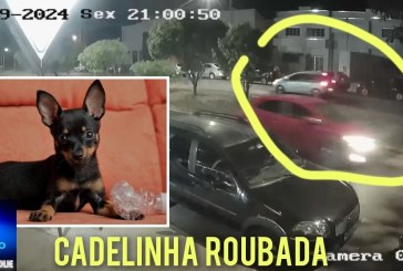 👉👊🚨🙄📢😮🚔📽🐈🐩🐕Você 🫵 🫵 RECONHECE essa proprietária desse veículo acusada de roubar um cadelinha’ amora’?