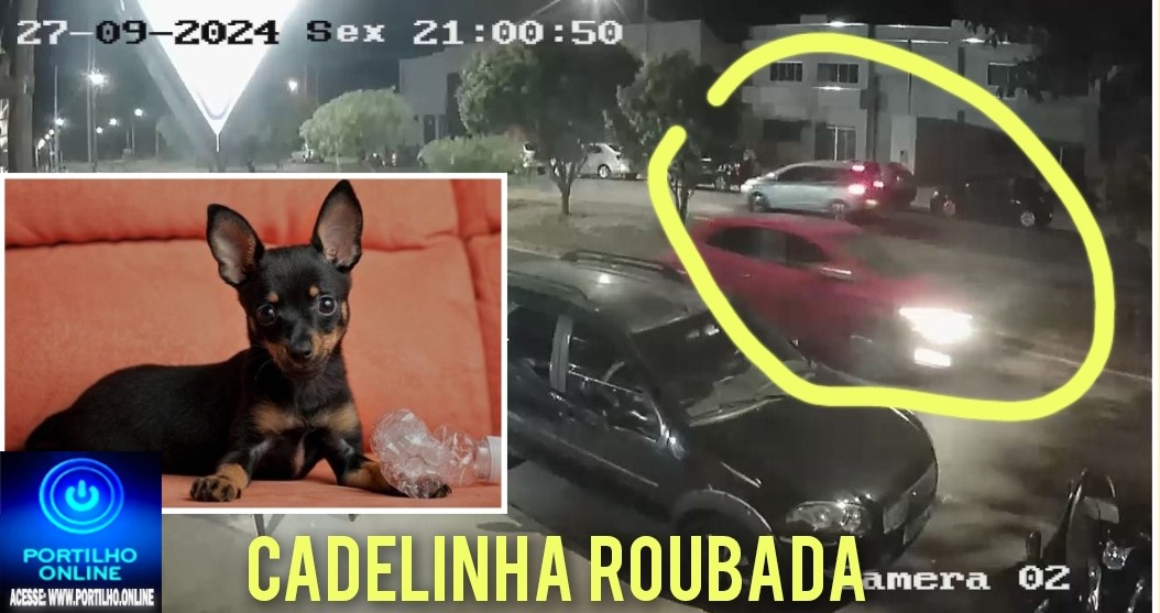 👉👊🚨🙄📢😮🚔📽🐈🐩🐕Você 🫵 🫵 RECONHECE essa proprietária desse veículo acusada de roubar um cadelinha’ amora’?