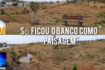 📢🤔Só ficou o banco vazio como lembrança. 🎋🌴🌳🌿Desmatamento urbano de área de App ( cadê a avenida dos lagos?)