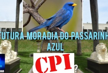 📢EXIGIMOS UMA 💸💰🤔❓🔎🕵CPI URGENTE!💰❓👿🐀💰🚔👀🚨Portilho, agora vc tem pegar em cima de ter uma CPI e ser o primeiro portal das notícias