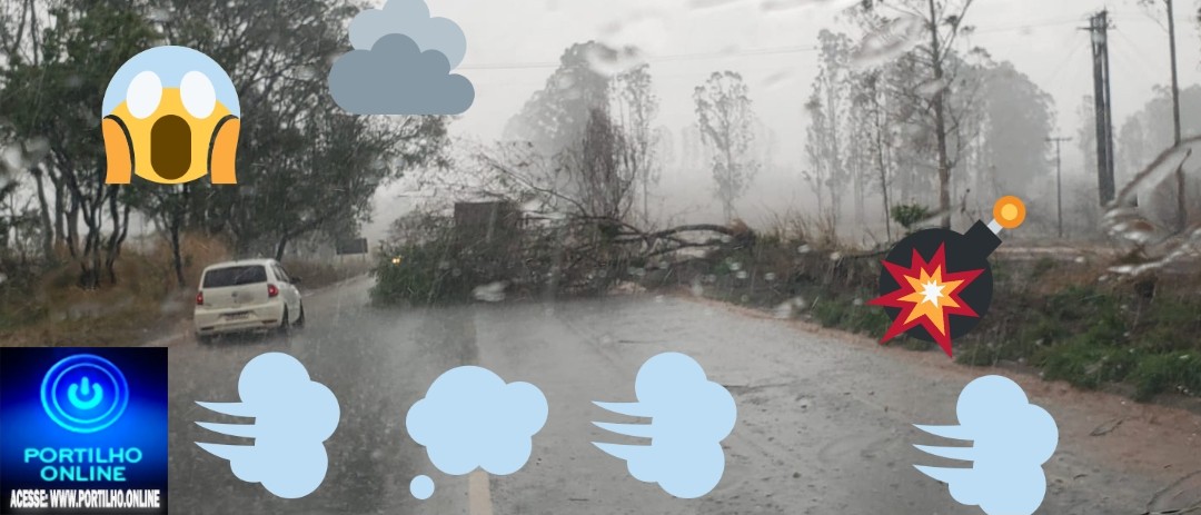 👉🚧❓📢😡😱👀🌳🌦⛈🌬🌪🌪🚨🚃🚓🚒🚑Cuidado motoristas e ” tocadores de veículos Árvores caídas na MG 230