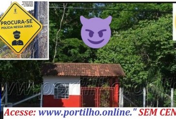 👉📢🚔🚑👿🗣🧐🚨🍺💩👹👿☠Perigo!!!Bosque da matinha: Oi Portilho boa tarde  Gostaria de fazer um alerta é sobre o bosque da matinha…