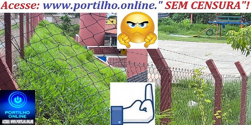 👉📢👎🐀😱🤔🐍🦎🦀🦂🐁🐀Bom dia “Portilho, vc sabe como o coronel está né”…Queria que vc fizesse uma matéria sobre essa creche Geralda Pereira