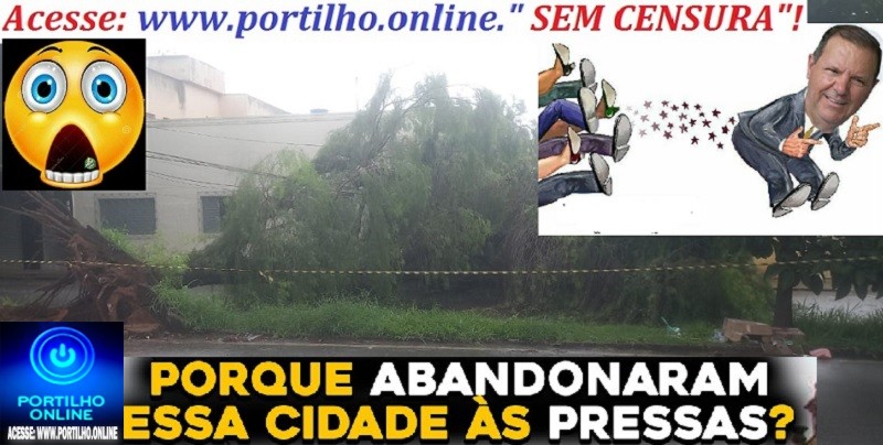 👉📢👿👺💩🐁🐀🐭🌳A cidade de Patrocínio está abandonada desde o dia 7 de outubro, após a derrota eleitoral.