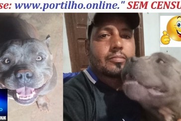 👉🐕🐶📢👊👍🤝👏Pitbull ( chipado) foi encontrado no bairro jardim Sul