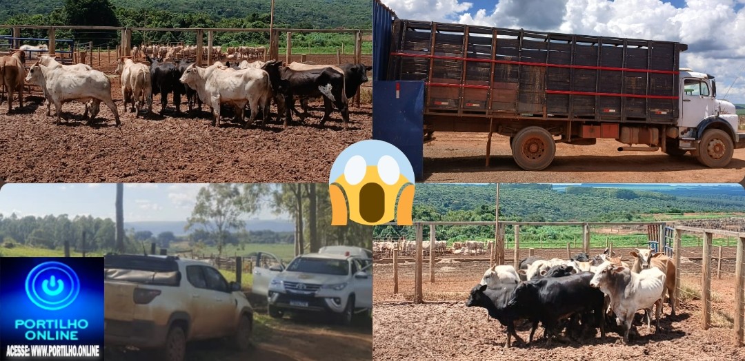 👉📢👍👏🤙🙌🚔🚔🚨🚓🐂🐄🐃🐮GADO RECUPERADO!Polícia Civil de Minas Gerais recupera 14 cabeças de gado furtadas em Perdizes.