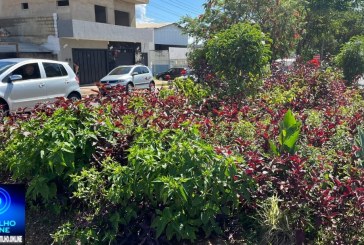 💵📢❓🗣Vegetação na Avenida JK com Rua Expedito Dias Coloca Motoristas em Risco Constante