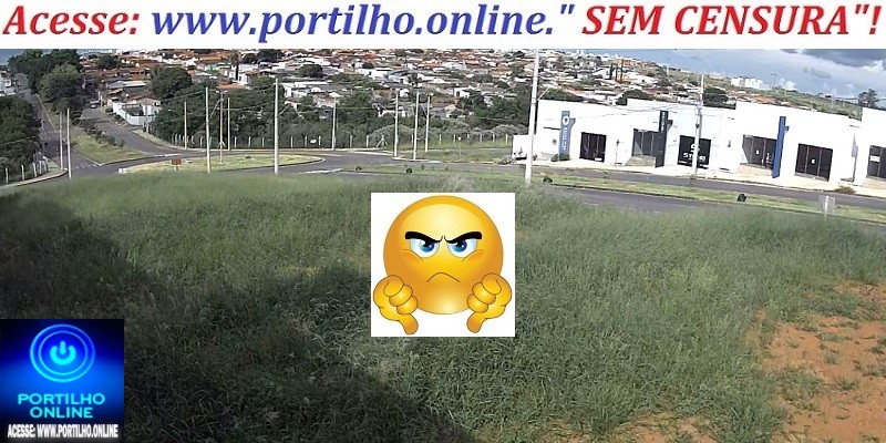 👉🗣Cadê os fiscais do Urbanismo?🔍🕵🔎🤔📢😡👊😠😱✍📌❓⁉ Lotes particulares na Avenida Pedro Marra – Bairro Jardim Vitória Avança.