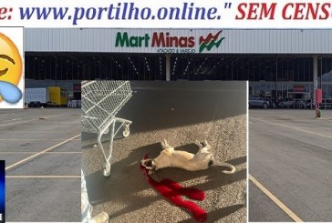 👉😡👿🗣🚔🚒🚑🔍🕵🔎📢Mart Minas. Cão atropelado! Boa noite Portilho Quero fazer uma denuncia