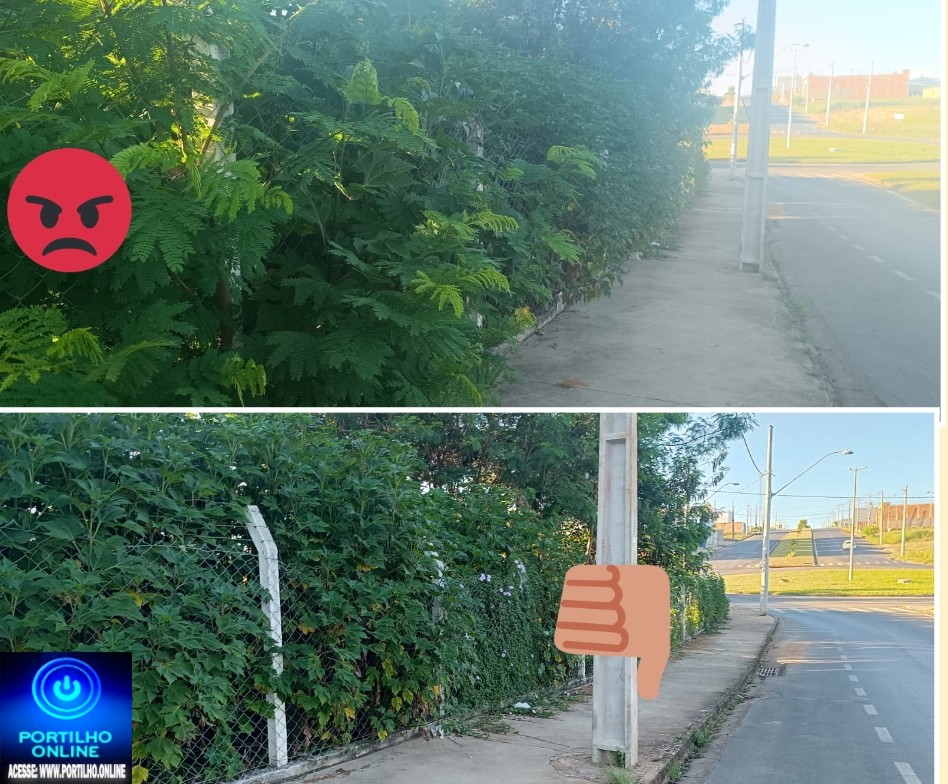 📢👉😡🤬😱🚜Moradores da Alameda dos Eucaliptos reclamam do matagal na ” reserva do lixo e entulhos