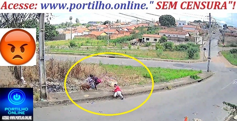 📢Assista ao video do ataque…🚨😱👿🚔🚑🐶👉🗣📢😡🤬Pitbull ataca idoso e assusta pedestres no bairro Santo Antônio