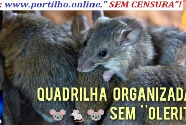👉📢🚨🗣⚖🐁🐭🐀🐷💸Atenção quadrilha organizada e ex-secretarios e o ex-prefeito” ” Tá nervoso, vai pescar “