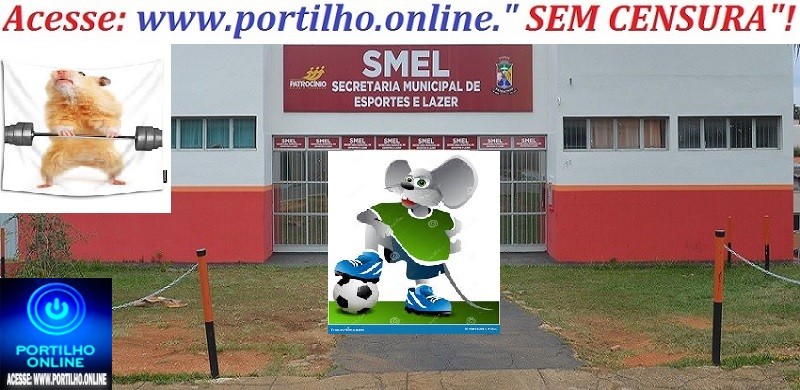 👉🗣”FrangoBall”! 👀🐀🐁🐭🔍🕵🔎👽📢😱👿Auditoria na Secretaria de Esporte: “Perto do Panamericano, é fichinha!”