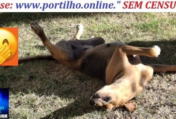 👉❓🤔📢🙄🤗🤪😜🐕🐩🐈Relaxando:PILATES & SPA pet praça Santa Luzia.