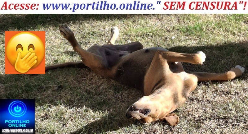 👉❓🤔📢🙄🤗🤪😜🐕🐩🐈Relaxando:PILATES & SPA pet praça Santa Luzia.