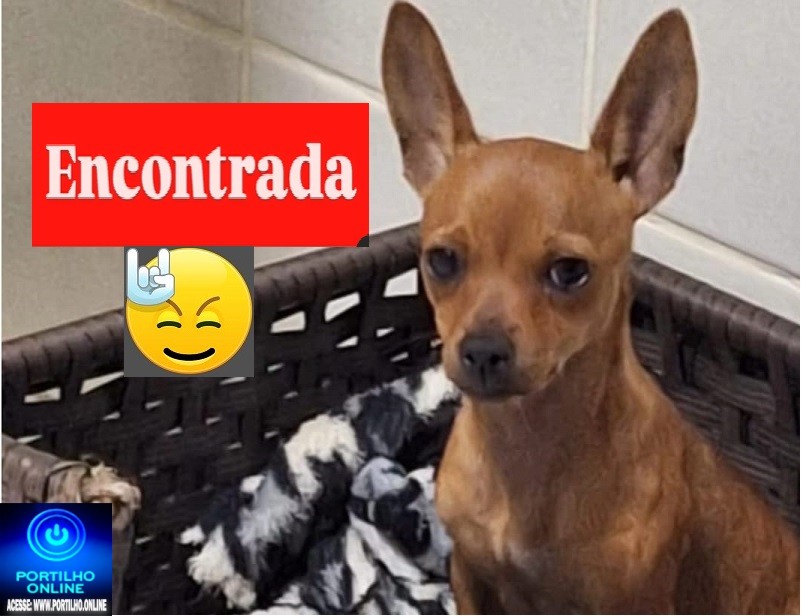 👉📢😱😪🐶🐈🐩🐕CADELA “MAYA” FOI ENONTRADA!