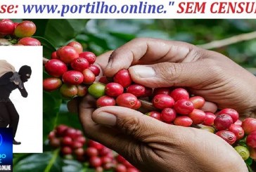 👉👿🚔😱🔍🕵🔎📢⚖💸Atenção produtores de café na região de Patrocinio-MG. Os ladrões estão roubando o café diveise direto do pé