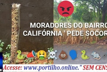 📢👉Olha a cobra👎😠😱😡🔍🕵🔎🐍🦐🦗🐜🕷🦂Boa tarde!!! Olha aí o tamanho da cobra 🐍 jaracuçu