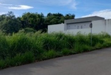 👉📌❓✍😡📢Moradradores do bairro Dona Diva reclamam da infestação do mosquito 🦟 🦟 🦟 da dengue Chikungunya