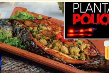 👉📢😱🚨🚔🚒🚑🐡🐟🐠Peixe 🐟 na Telha. Quem é que apanhou? Alongamentos de cabelos cacheados e forçado