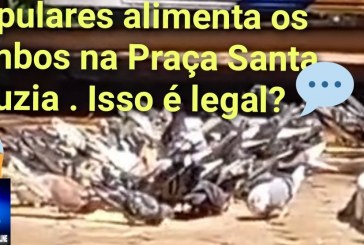 👉📢❓🧐🗣🗣🤔🕵🔍🎧Milho 🌽 aos Pombos. Gera reclamações dos lancheiros na Praça Santa Luzia