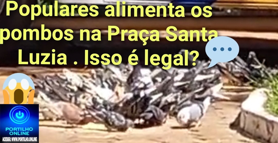 👉📢❓🧐🗣🗣🤔🕵🔍🎧Milho 🌽 aos Pombos. Gera reclamações dos lancheiros na Praça Santa Luzia