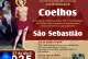🚀📢👍🚔🤙👏🙏🤝🙌INICIA HOJE A FESTA DE SÃO SEBASTIÃO NA COMUNIDADE DOS 🐇 COELHOS 🐰