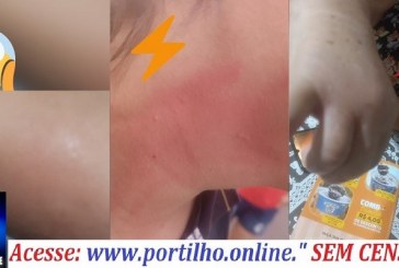👉🗣📢😱🚨🐝🐝🐝Oi partilho Pode divulgar o enxame de abelhas🐝🐝🐝 invadindo as residências