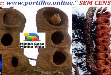 👉📢🗣🔍🕵🔎🏚🏡🏠🏢João de Barro e a promessa dos apartamentos Os “apartamentos” João de Barro tão prometidos pela ex-administração estão adiantados”!