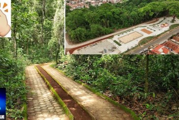 👉🤙👍🗣📢👏👏👏Parque ou Bosque da Matinha passará por novas adequações e melhorias