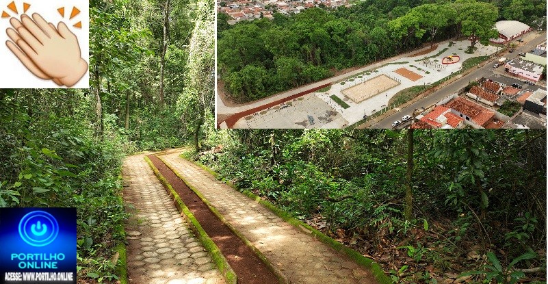 👉🤙👍🗣📢👏👏👏Parque ou Bosque da Matinha passará por novas adequações e melhorias