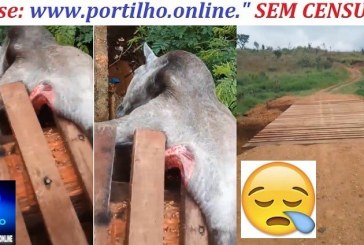 👉Assista aos video…. 🔍🕵🔎🚨😱😮❓🚔😪😥🚑🐎ELE MORREU!!! Cavalo cai de ponte, fica pendurado e morre: DESCASO NA SERRA NEGRA!