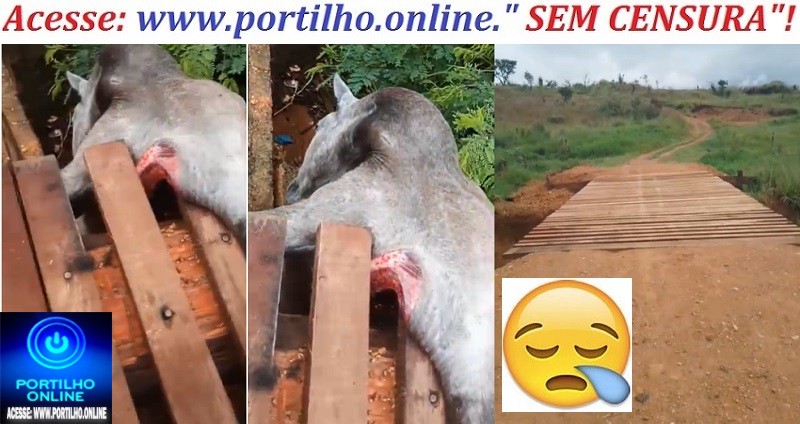 👉Assista aos video…. 🔍🕵🔎🚨😱😮❓🚔😪😥🚑🐎ELE MORREU!!! Cavalo cai de ponte, fica pendurado e morre: DESCASO NA SERRA NEGRA!