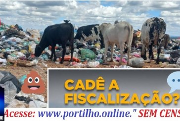 👉📢🔍🕵🔎🗣⚖🚔🚨🤢Denúncias :🐮 vacas🐄 🐮 de leite 🍼 🥛 continua comendo lixo e bebendo 🤢 chorume. Cadê as ” autoridades”?!🐄🐮🍼🥛🤢