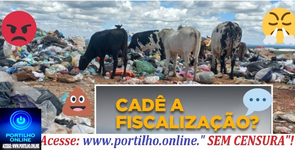 👉📢🔍🕵🔎🗣⚖🚔🚨🤢Denúncias :🐮 vacas🐄 🐮 de leite 🍼 🥛 continua comendo lixo e bebendo 🤢 chorume. Cadê as ” autoridades”?!🐄🐮🍼🥛🤢